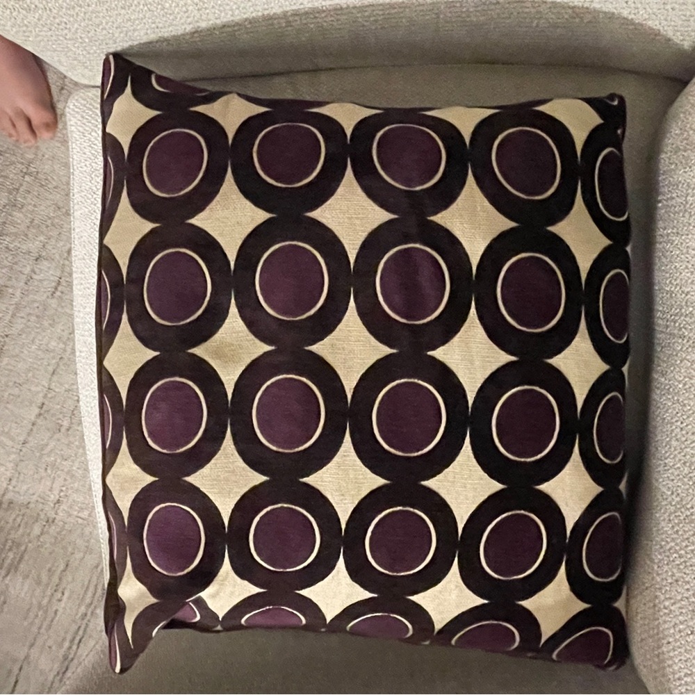 Crate&Barrel Pillow Case (with Pillow) - Picture 4 of 5